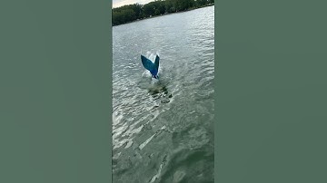 Real life Little Mermaid! 🧜‍♀️