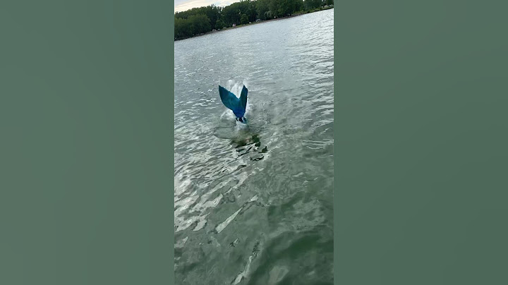 Real life Little Mermaid! 🧜‍♀️