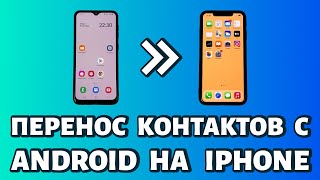 Как перенести контакты с Android на iPhone: быстро и просто