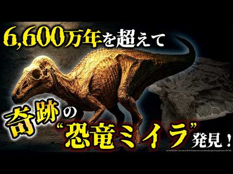 うえのえみ ネコ 恐竜 2 うえのえみ ネコ 恐竜 2 恐竜2 最新研究 (