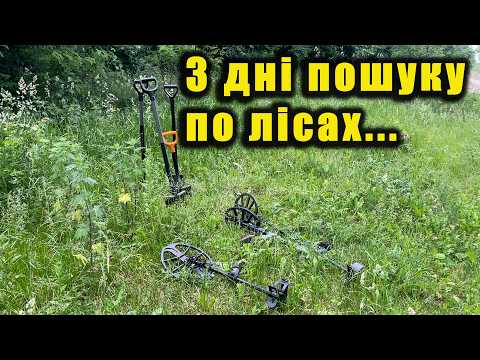 An Accidental Discovery in the Forest