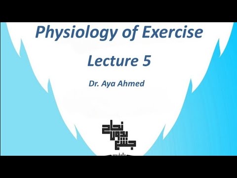 Recovery of muscle metabolic system, Exercise physiology Lec 5 - YouTube