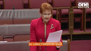 Why is Australia doing what terrorists want? Pauline Hanson grills Labor over their help for Hamas!