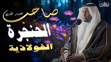 صاحب الحنجرة الفولاذية🔊 سورة المائدة بصوت مختار الحاج | تلاوة خاشعة تأخذك لعالم آخر 🌿✨