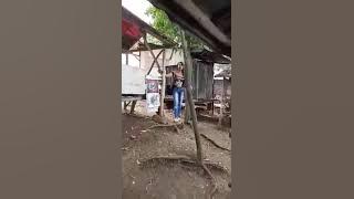 Marni banci Cibeureum Tambun Bekasi