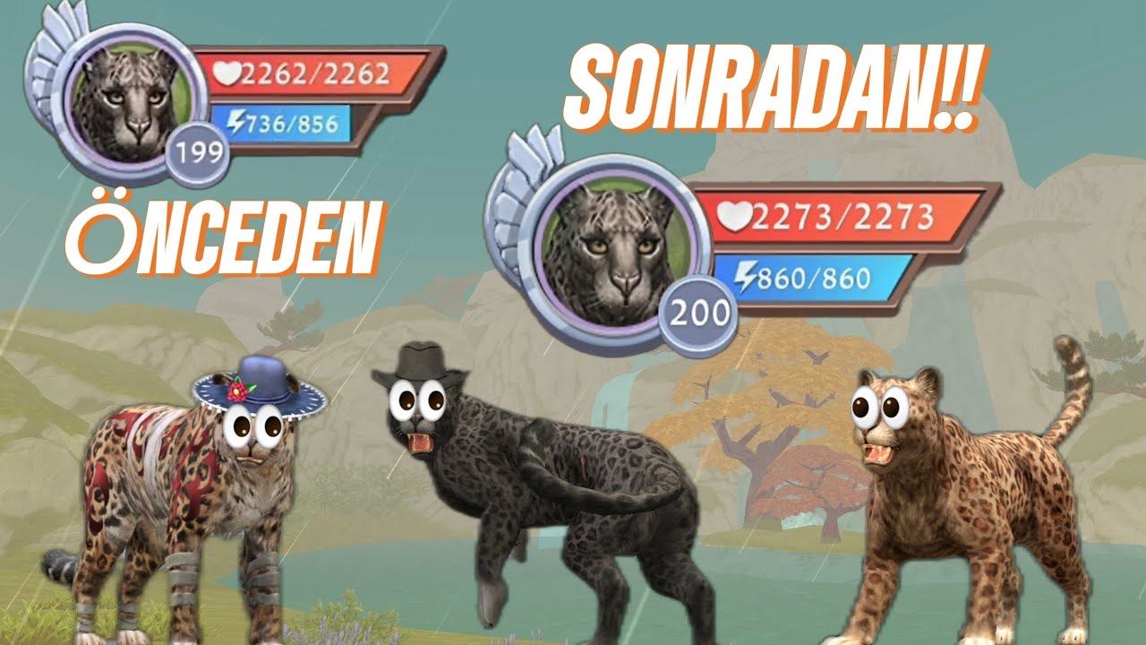 Puma 200 level oluyor!🐱