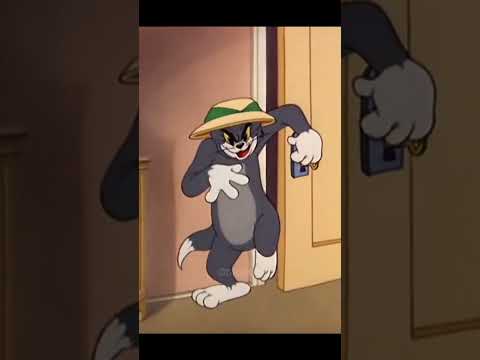 Tom Evil Laugh Close The Door Shorts