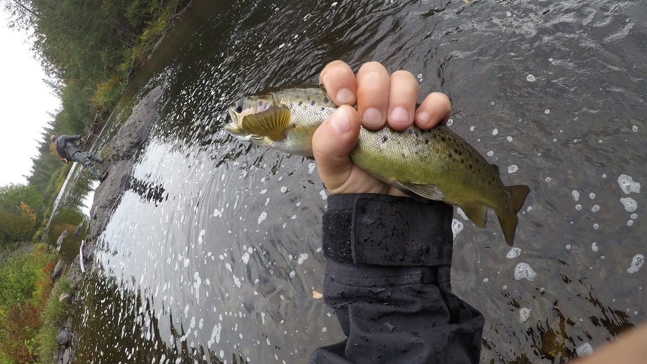 2019 ME Cast & Blast Vol. A