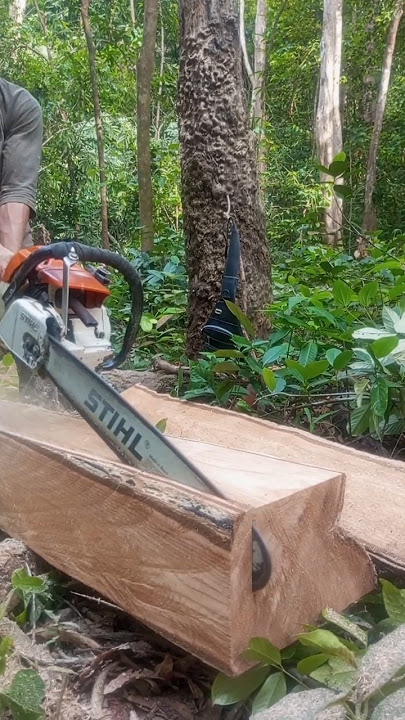 bikin pecahan 3x25 bahan daun pintu kayu songke #wheelsaw #chainsaw #automobile #woodworking #wood