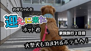 なかなか大型犬とは旅行に行けない！【必見】一日一組限定の大型犬が泊まれるホテル！