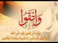 نغمة ماهر زين طاهر القلب نقي (روووعه)