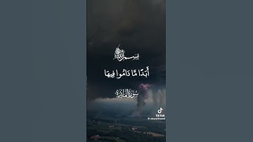 الشيخ سيد سعيد|سورة يوسف.           #قرآن #سورةيوسف #تلاوة_مميزة