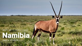 Best Of Namibia [4K]
