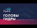 Головы Гидры / Андрей Сатарин // 17.06.2020