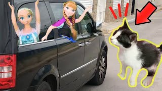 Las princesas Disney Elsa y Anna buscando a los gatitos perdidos en el viaje en coche a la playa