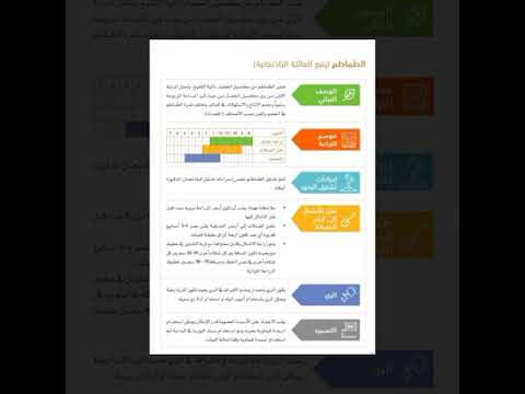 مواعيد زراعة الطماطم