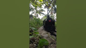 Tàu hoả hơi nước #shorts