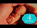 Fourth Month of Pregnancy गर्भावस्था का चौथा महीना - लक्षण, बच्चे का विकास और शारीरिक बदलाव