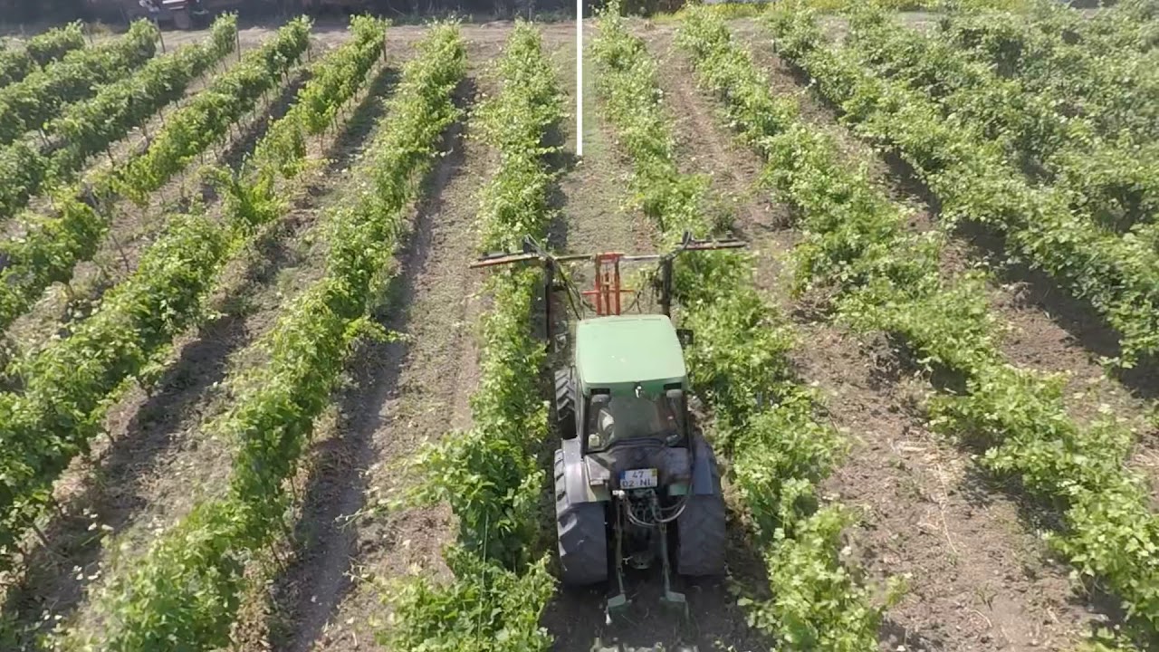 John Deere 5500N / Terral Trimmer / Vineyard /  Drone Gopro Karma