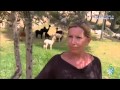 Alpacas En España - Una Guía Básica