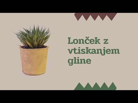 Video: Kaj Se Bo Zgodilo Z življenjem, če Vse Rastline Nenadoma Izginejo - Alternativni Pogled