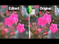 Snapseed Tutorial | How To Blur Background with Snapseed Malayalam