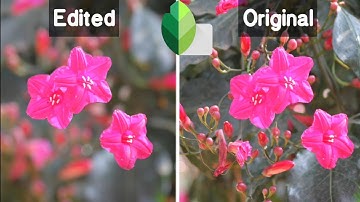 Snapseed Tutorial | How To Blur Background with Snapseed Malayalam