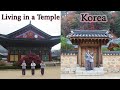Living with MONKS in KOREA
