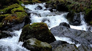 💦 Weeks Falls — A Hidden Gem Along the Snoqualmie River screenshot 1