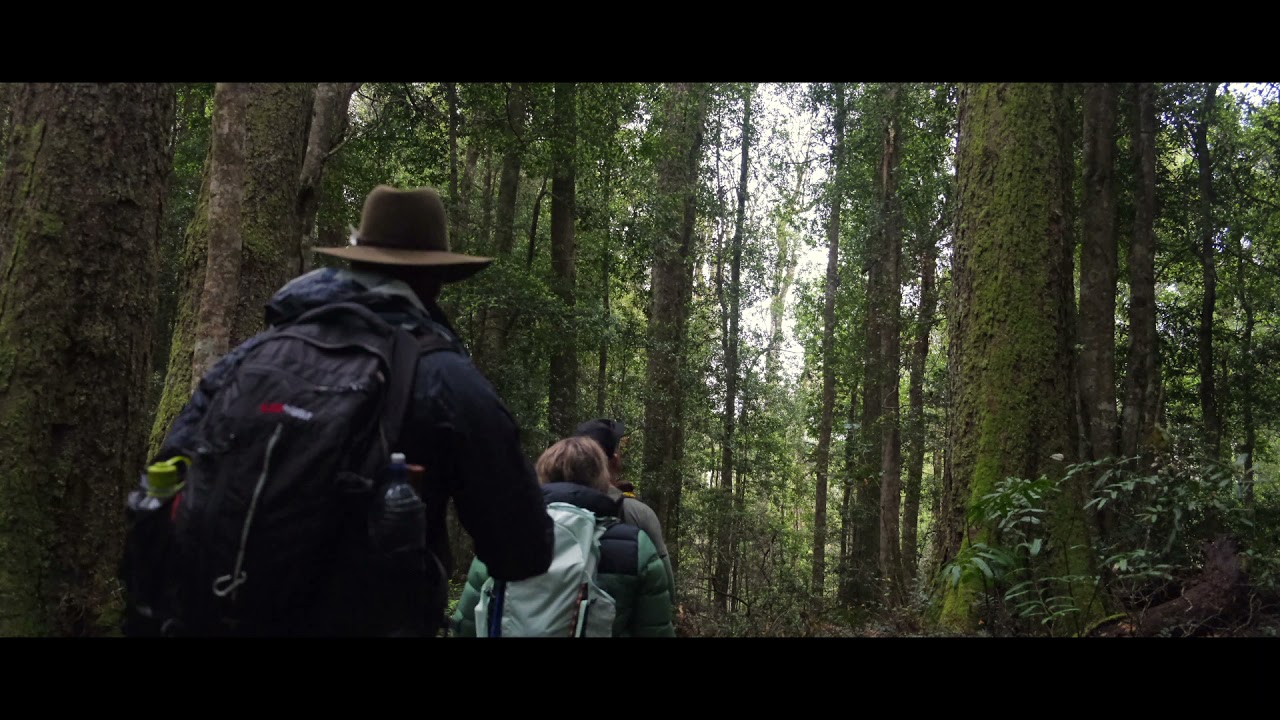 Hiking Mid North Coast NSW