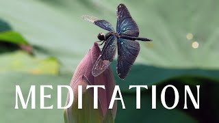 Meditation | Spiritual and Healing Music Video for Positive Energy | Relaxing Nature Ambience