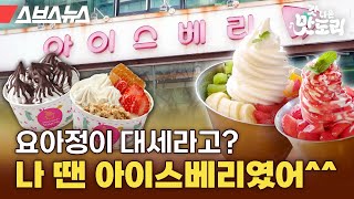 대왕 빙수 사라졌다고요? 캔모아, 레드망고와 함께 빙수로 주름잡던 추억의 아이스베리 근황 [갓 나온 맛도리 EP.74] / 스브스뉴스