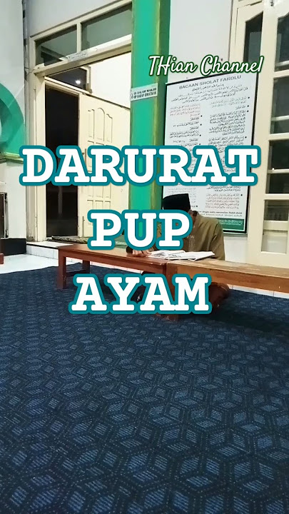 ayam sdh mengganggu ketertiban kesucian tempat ibadah #shorts #tadarusalquran #masjid #darurat #ayam