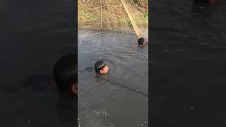 IMG 0129