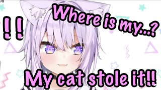 Eng Subokayu Panics After Her Cat Stole Her Food