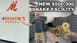 Famous HOW TO BUILD A SNAKE FACILITY! TIPS AND TOUR WITH MERSHONS MORPHS #snake #reptiles #animals Net Worth