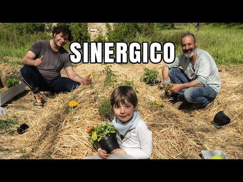 Video: Garden consociazione: consigli per la consociazione e il giardinaggio intensivo