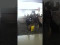 델타항공 DL159 디트로이트 공항 탑승 안내방송(1) (Delta DL159 Detroit - Incheon Airport announcement in Korean)