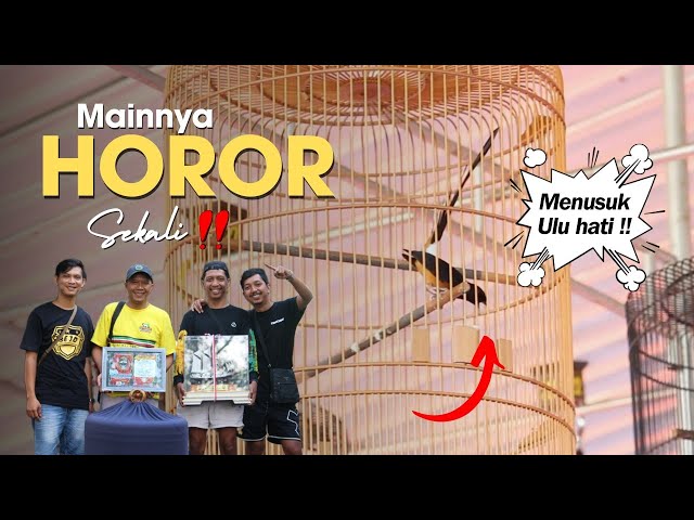 TIKET UTAMA MEMANAS ‼️ Alphard Koncer A Mutlak di tiket Utama - Ari Bejo BF Banjarnegara class=