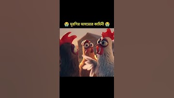 Thumbnail of The Untrue Story of Chickens#shorts #shortvideo #foryou