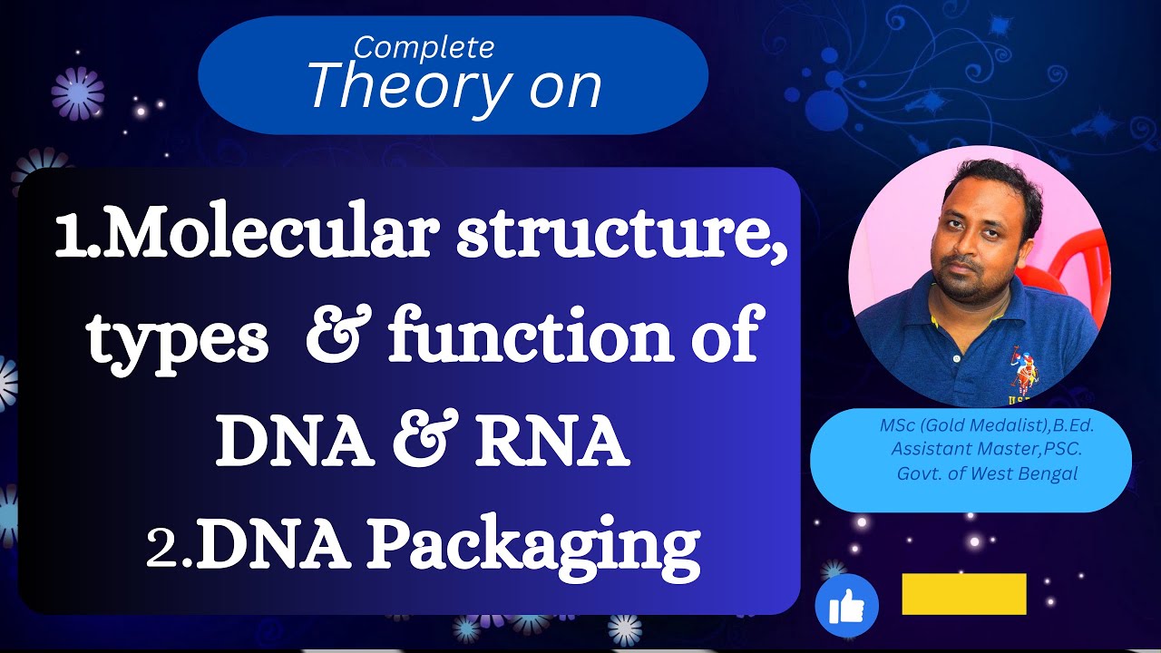 Molecular structure of DNA and RNA@Harun-biozone - YouTube