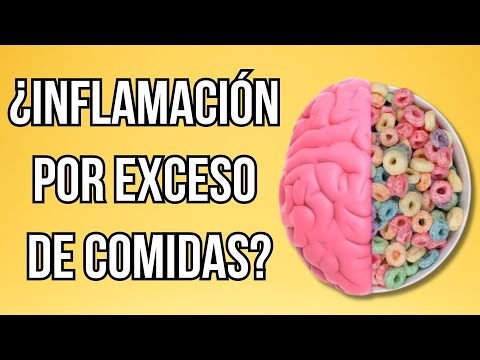 🆘¿Cómo INFLUYEN los ULTRAPROCESADOS en la INFLAMACIÓN Crónica?🍔😧
