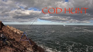 Bait fishing for Cod- Can I recover a 100+  hour blank?
