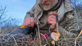 Ашладисване, Присаждане, Облагородяване На 2 Вида Калеми Праскова, Върху Подложка Джанка. Време Е
