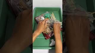 Unboxing A Cool Polar Bear Playset Barn, Fences & More