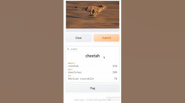 GUI / web app for your machine learning models using Gradio #datascience #machinelearning #python