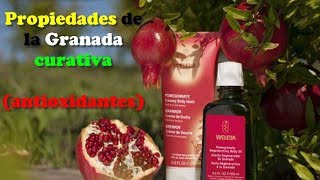 Propiedades de la Granada Fruta curativa 2018