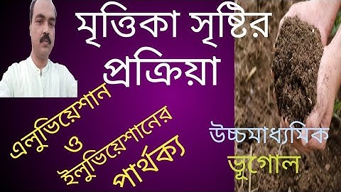 মৃত্তিকা সৃষ্টির প্রক্রিয়া। processes of soil formation. মৃত্তিকা গঠনের প্রক্রিয়া। মৃত্তিকা ভূগোল।