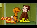 Lobby Dog George Full Episodes Curious George 