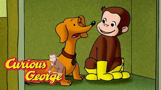 lobby dog george full episodes curious george